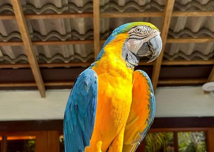 Chacara Comary